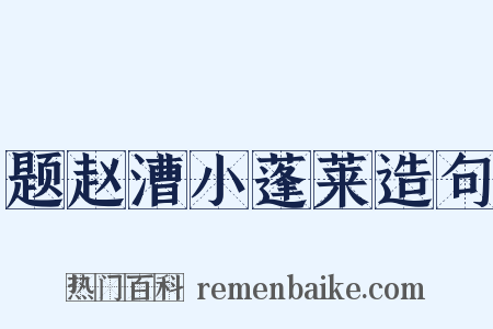 题赵漕小蓬莱造句是什么意思的图片